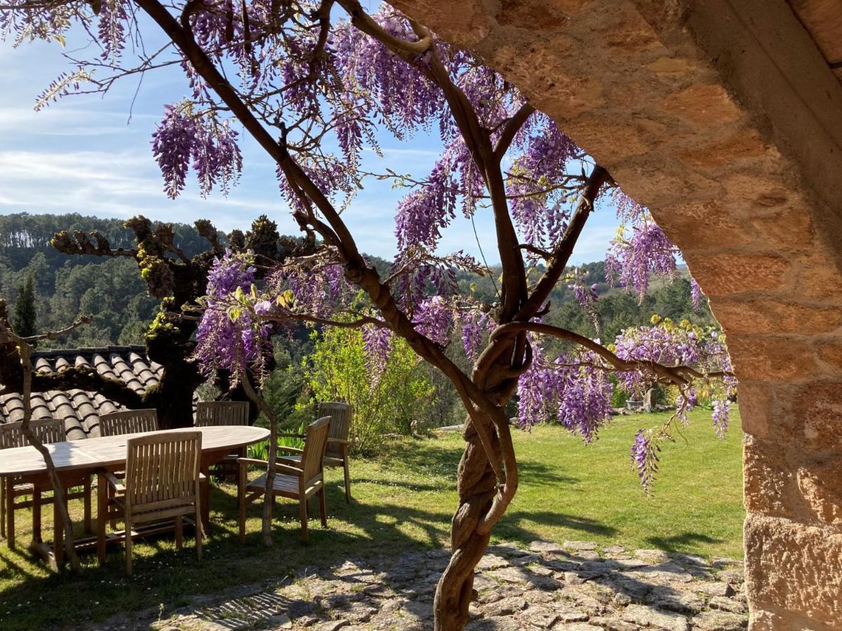 Mas De La Giralde - B&B Payzac  Экстерьер фото